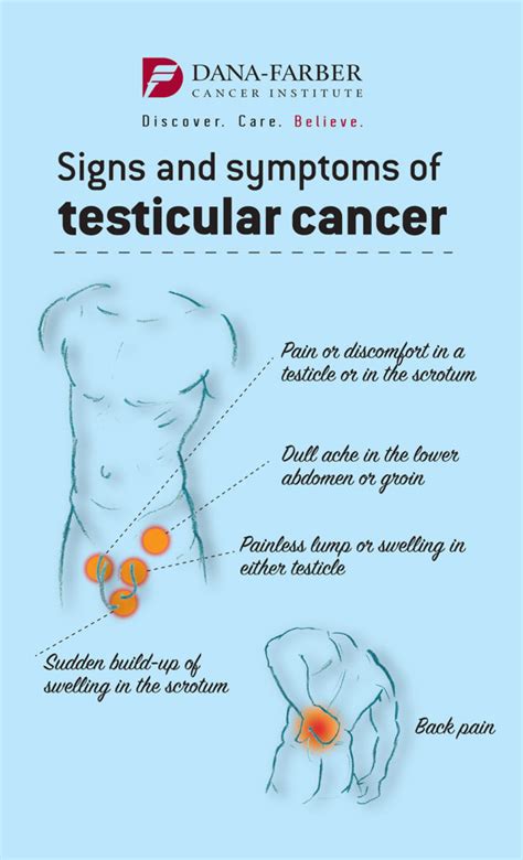 hard spot on testes|hard painful lump on testicle.